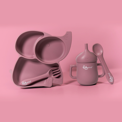 Set Diversificare 4 piese tip Elefant Pink Daisy