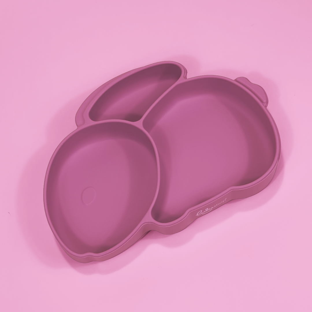 Farfurie Silicon Tip Iepuras Pink Daisy
